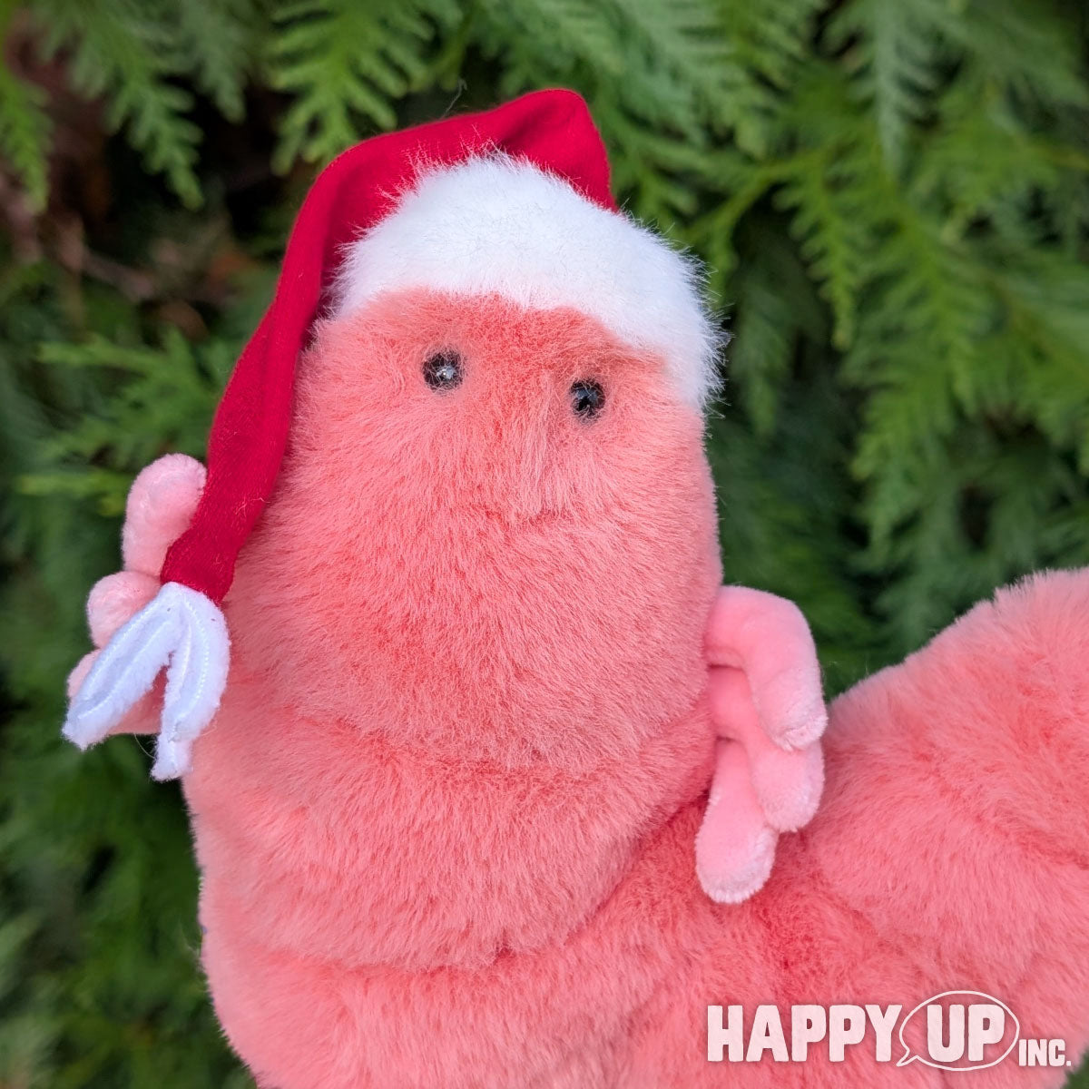 Douglas Salty Santa Shrimp