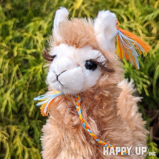 Douglas Lil' Wolly Llama with loooong lovely lashes!