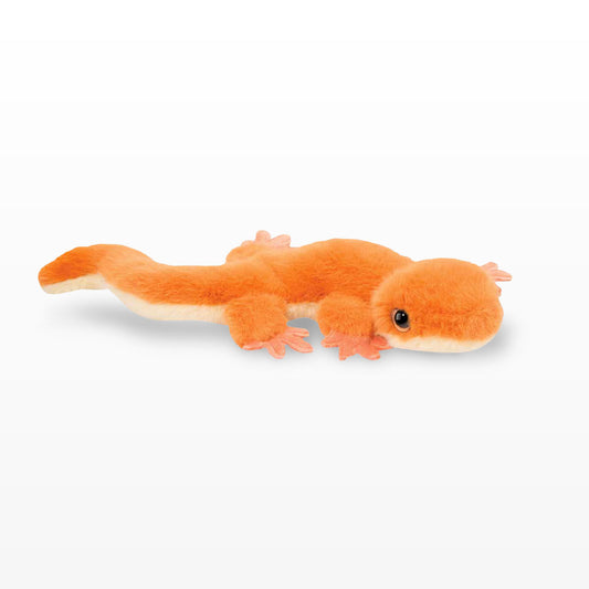 Douglas - Sam Salamander