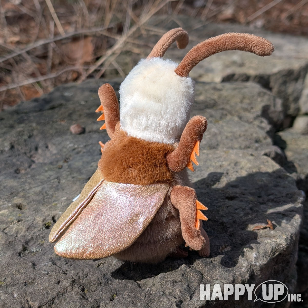 Douglas Rocco Dancin' Cockroach has shimmery copper wings!