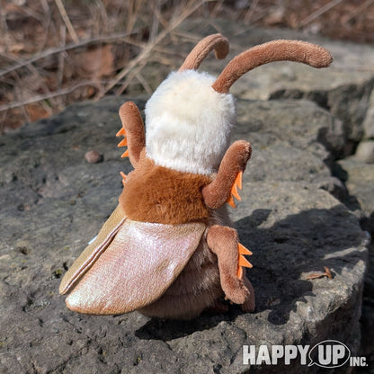 Douglas Rocco Dancin' Cockroach has shimmery copper wings!
