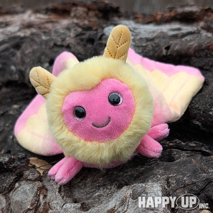 Douglas Rosy Maple Moth