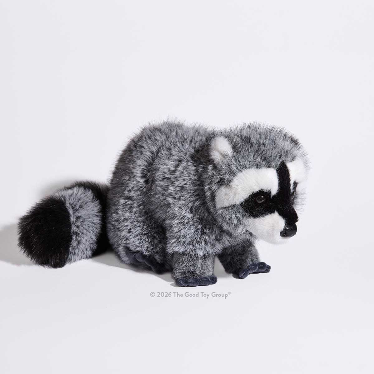 Douglas Raccoon DLux