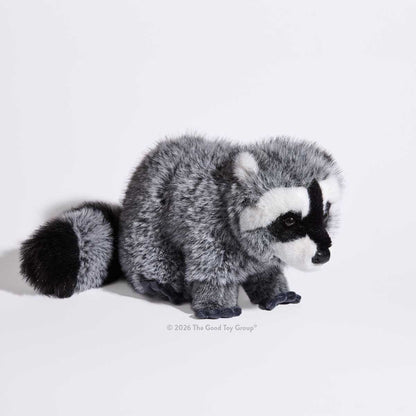 Douglas Raccoon DLux