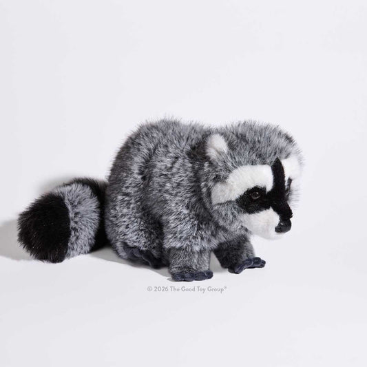 Douglas Raccoon DLux