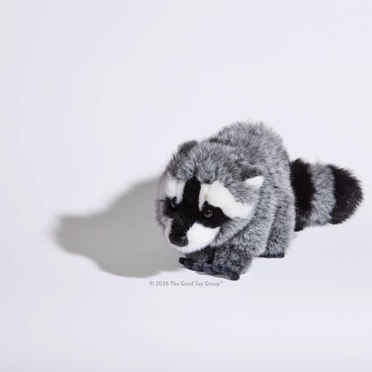 Douglas Raccoon DLux