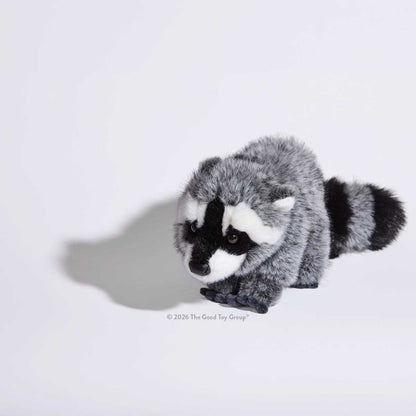 Douglas Raccoon DLux