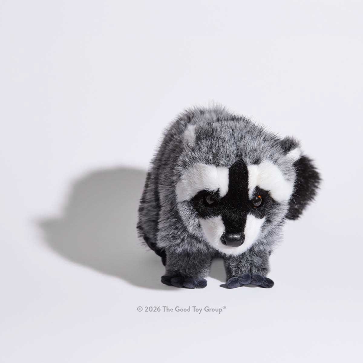 Douglas Raccoon DLux