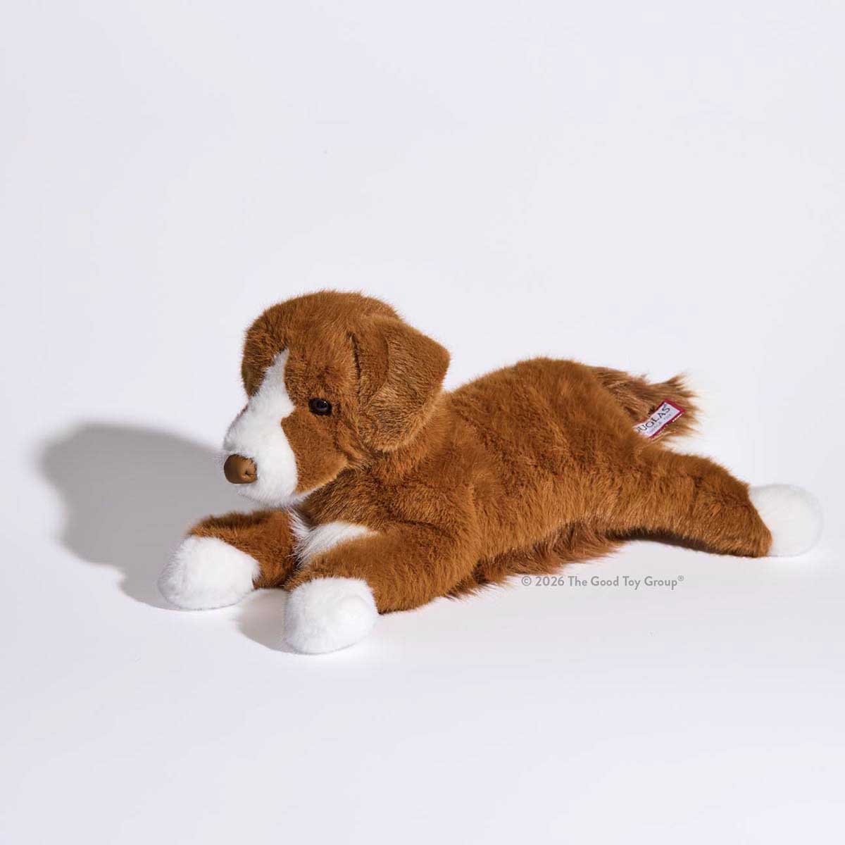 Douglas Rush Duck Tolling Retriever