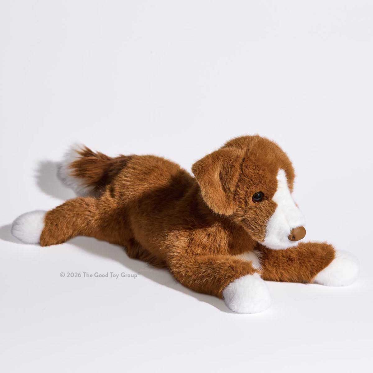 Douglas Rush Duck Tolling Retriever