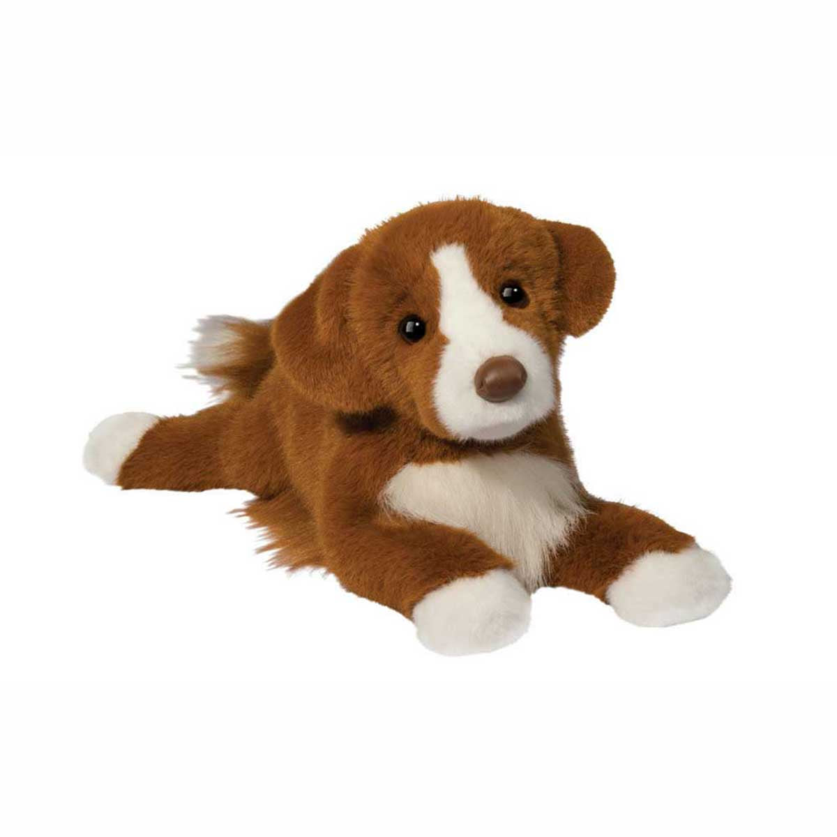 Douglas Rush Duck Tolling Retriever
