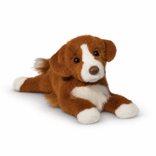 Douglas Rush Duck Tolling Retriever