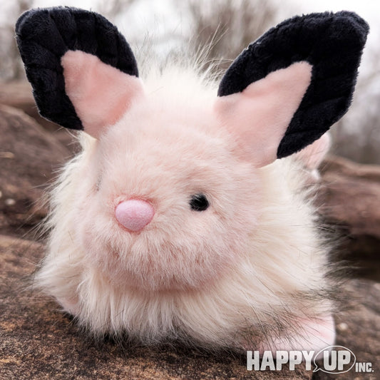 Douglas Skimmer Sea Bunny Slug