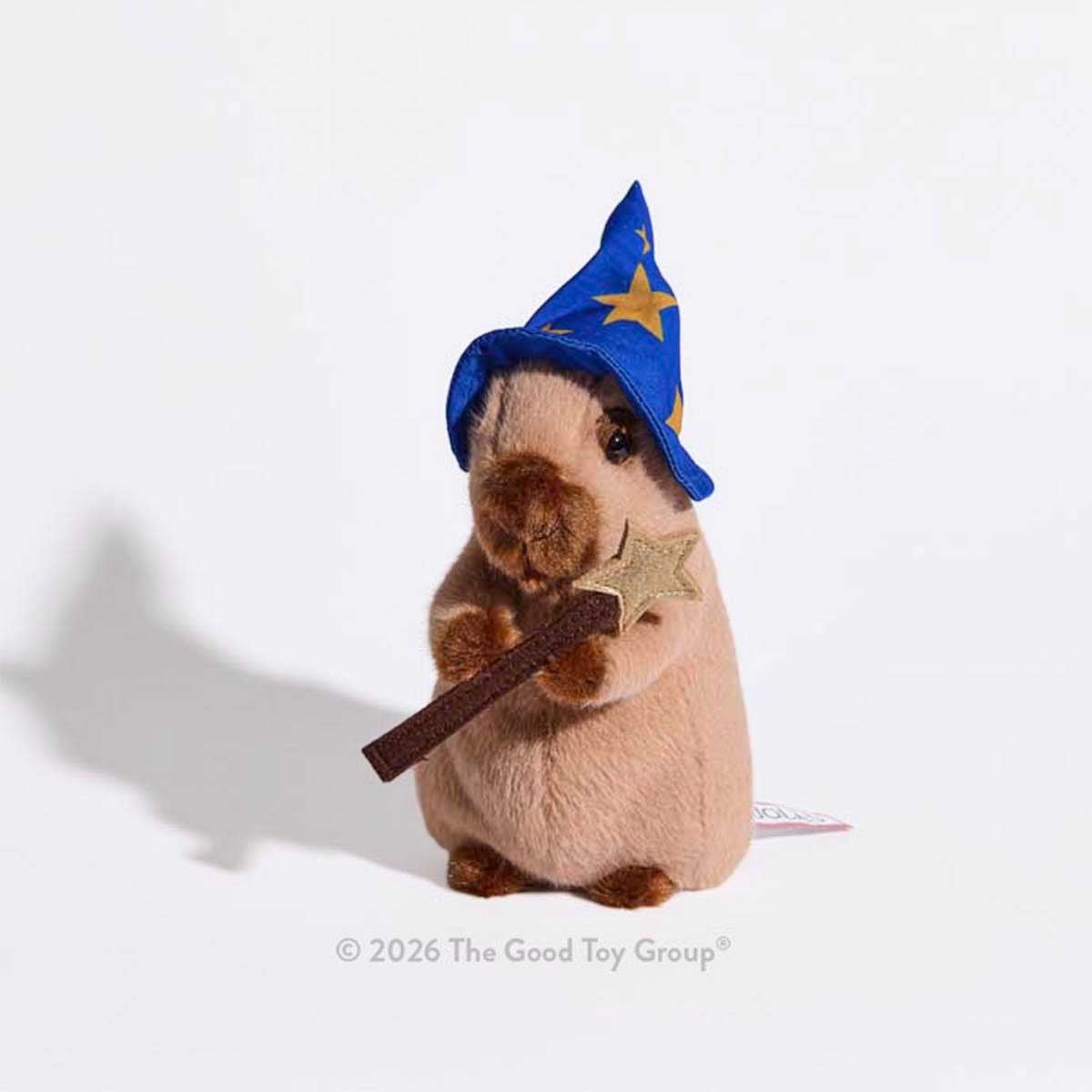 Wizard Capybara