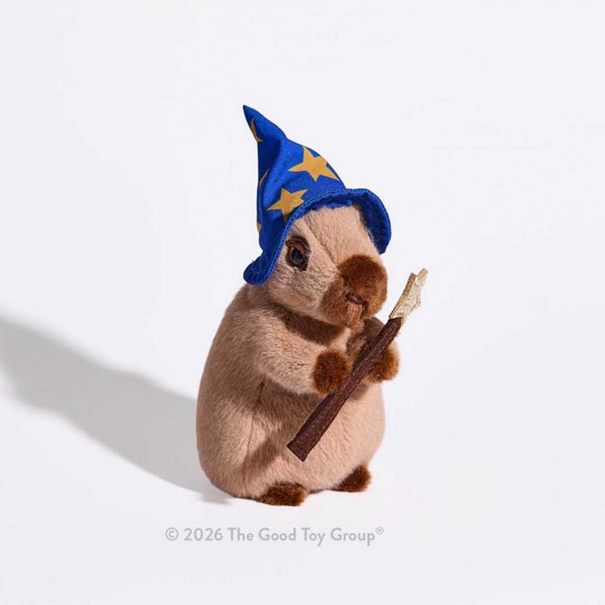 Wizard Capybara