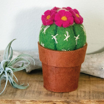 Small Pin Cushion Felted Cactus