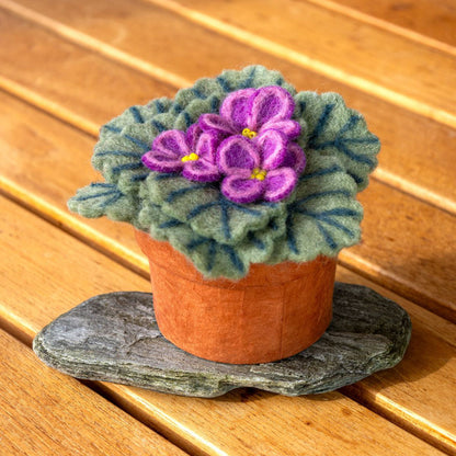 African Violet Felted Potted Houseplant