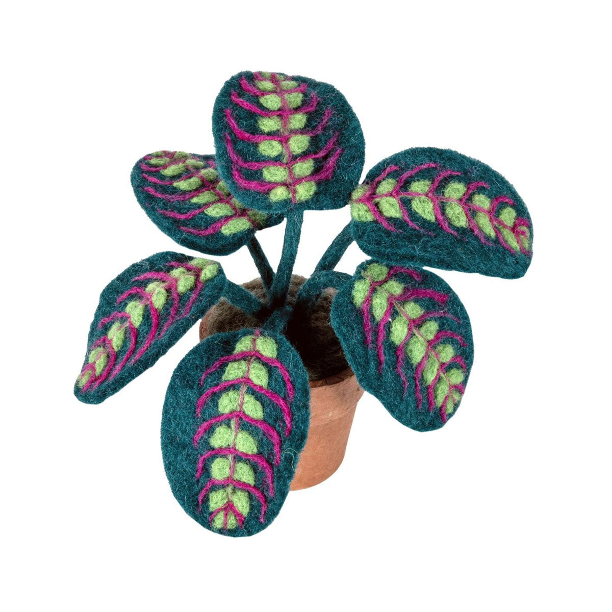 Prayer Plant Felted Potted Houseplant