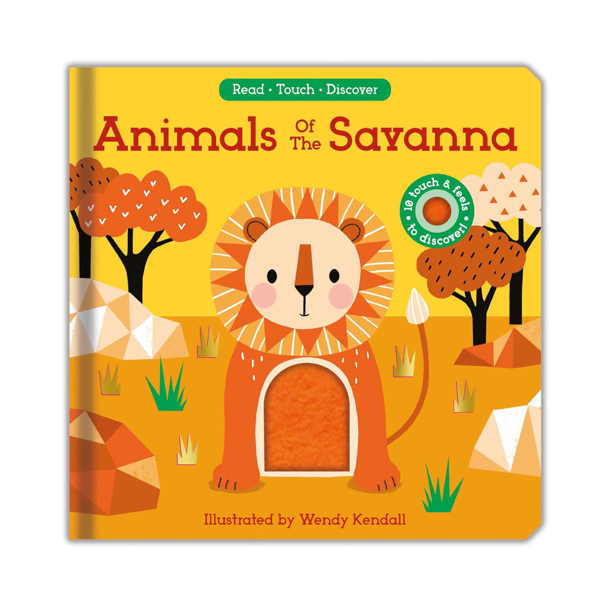 Animals of the Savanna Board Book