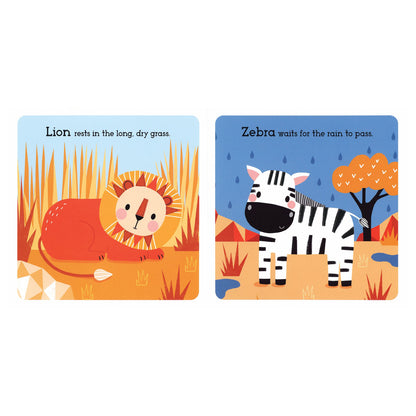 Animals of the Savanna Board Book