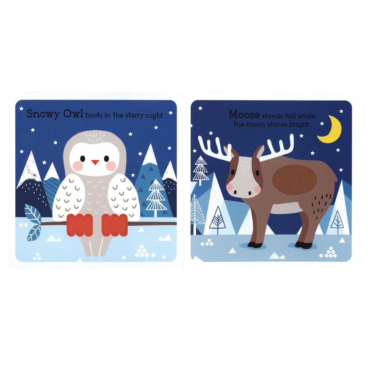 Arctic Animals Board Book