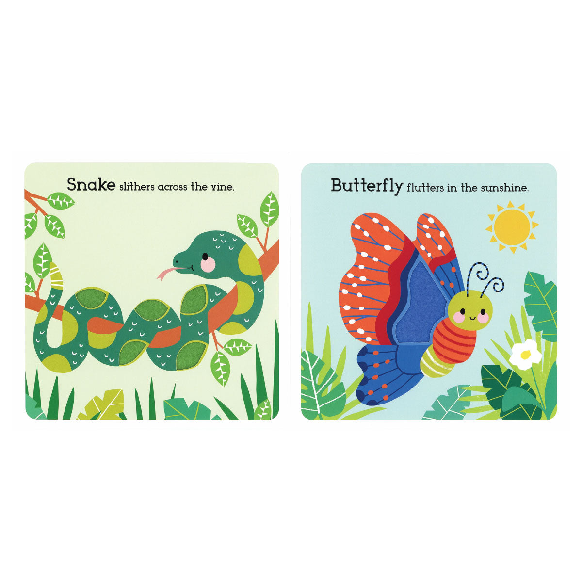 Remarkable Rainforest Board Book