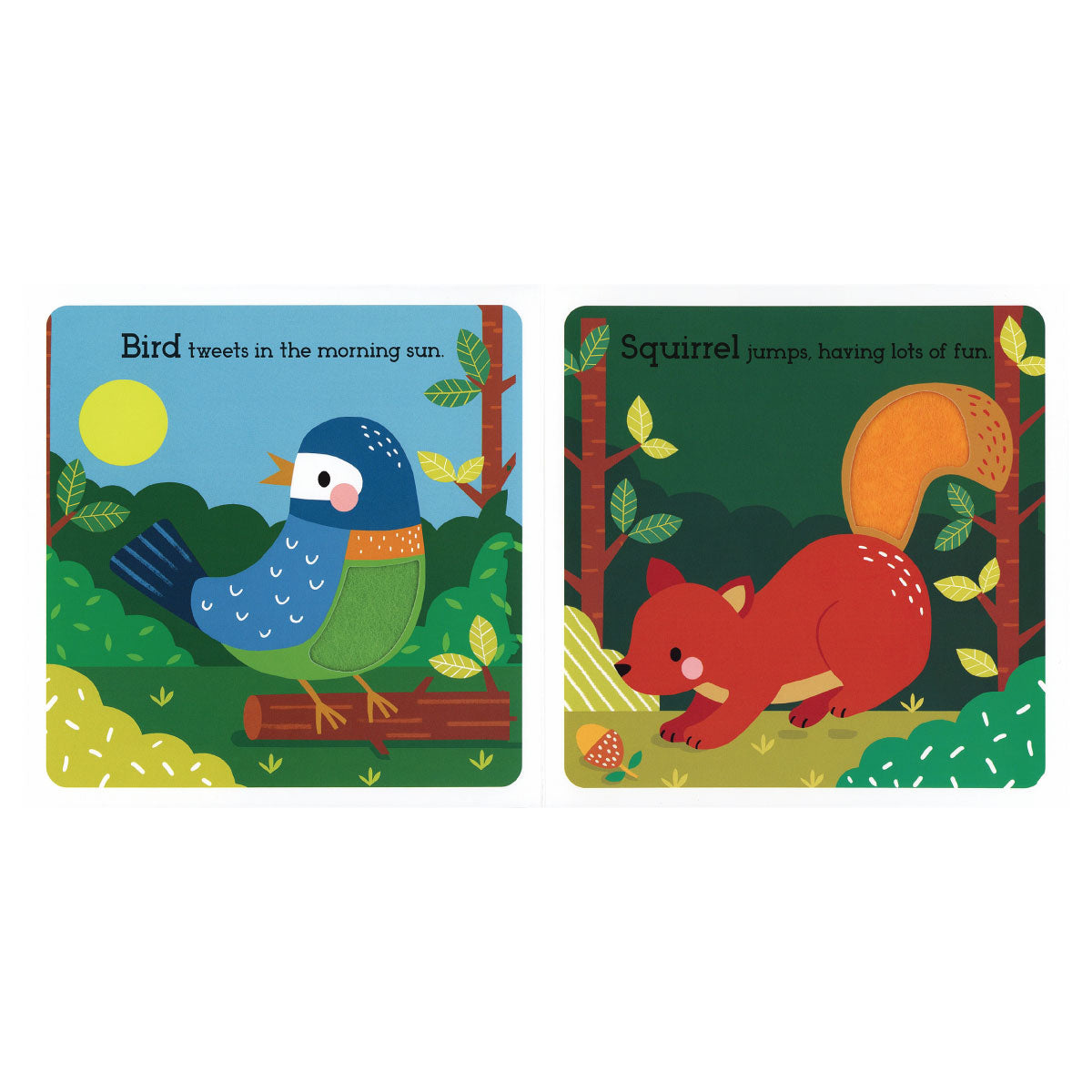 Wonderful Wildlife Board Book