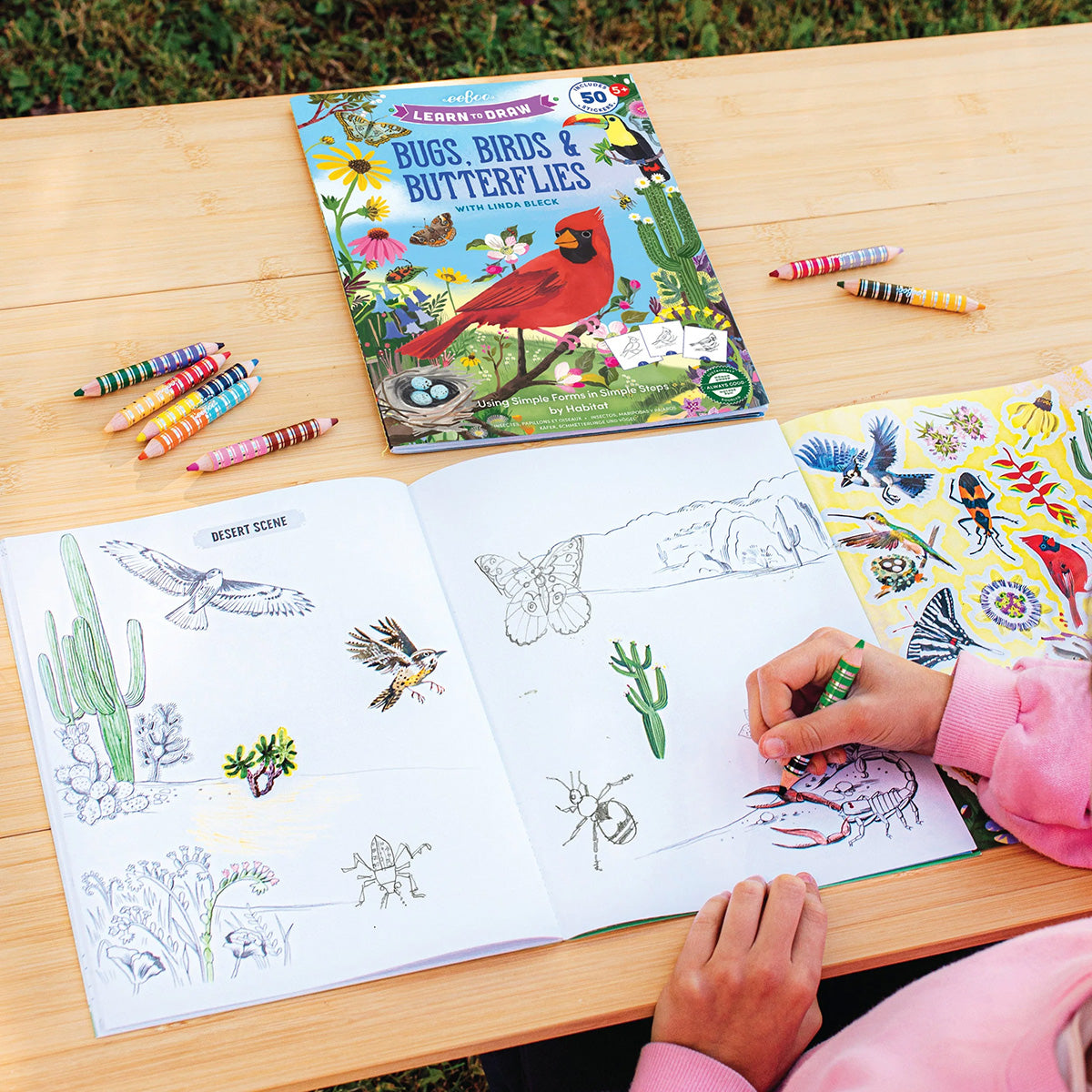 eeBoo Learn to Draw Bugs, Birds & Butterflies Activity Book
