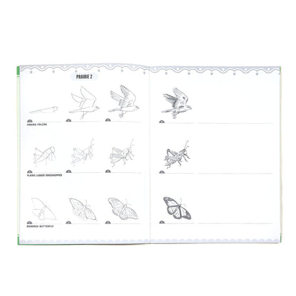 eeBoo Learn to Draw Bugs, Birds & Butterflies Activity Book