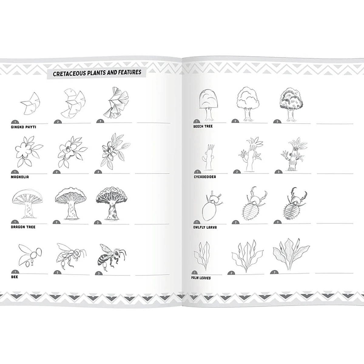 eeBoo Learn to Draw Dinosaurs Activity Book