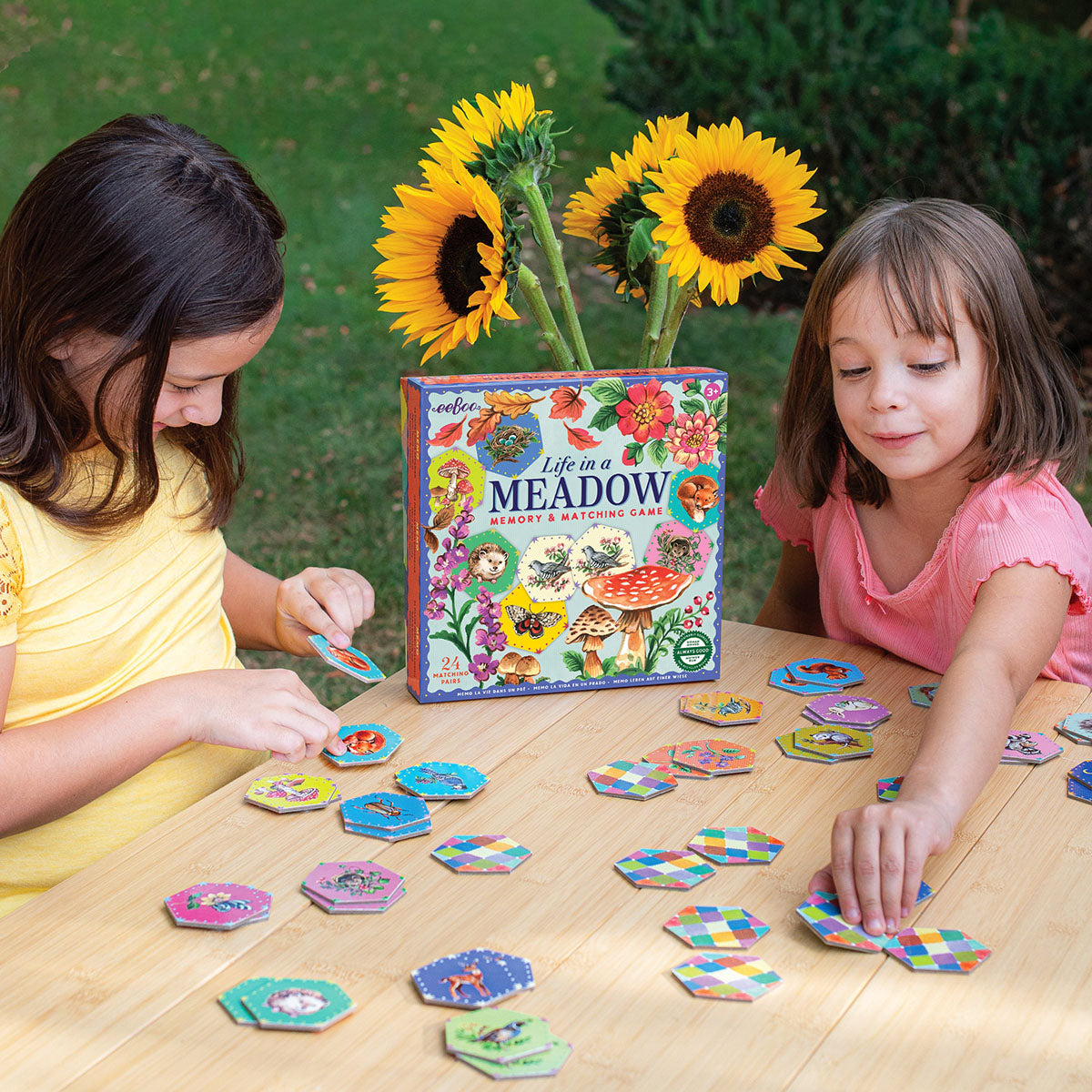 eeBoo Life in a Meadow Memory & Matching Game