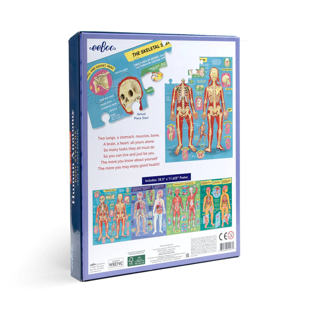 eeBoo Ready to Learn Human Anatomy 4x 48 Piece Puzzles