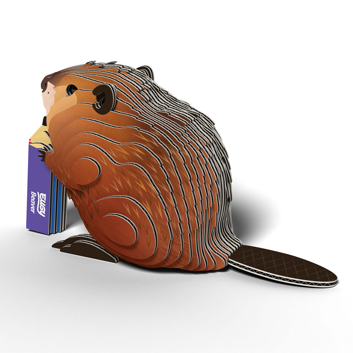 Eugy Beaver 3-D Cardboard Model Kit