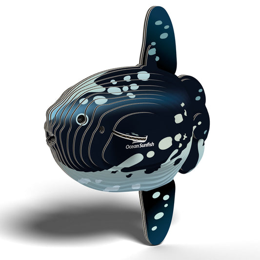 Eugy Ocean Sunfish 3-D Cardboard Model Kit