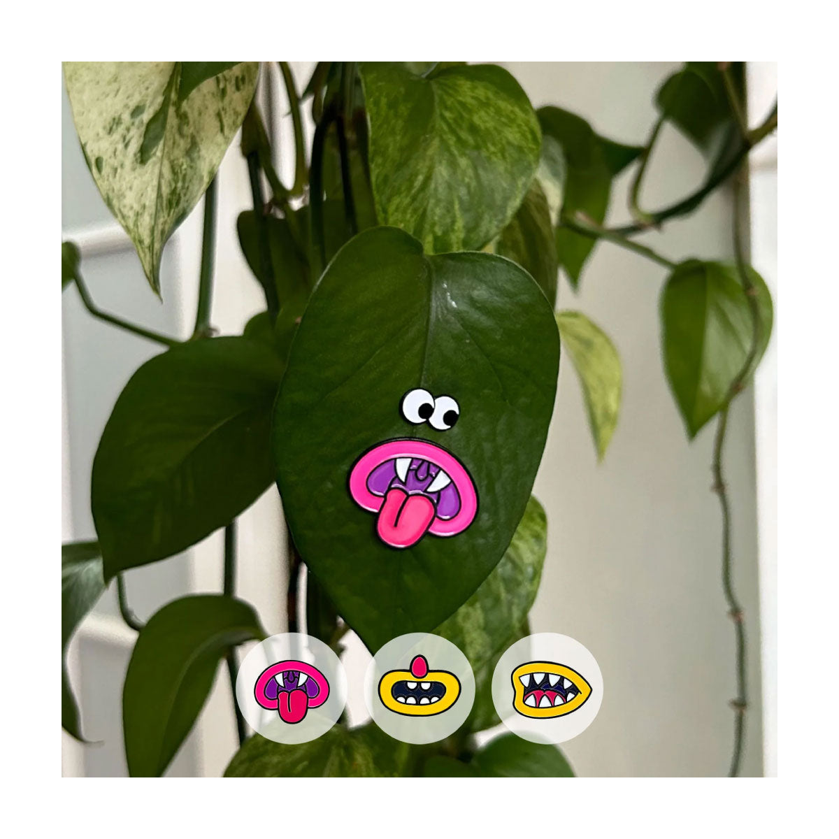 Eupholia Plantmagnets Monster Mouths 3 Pack