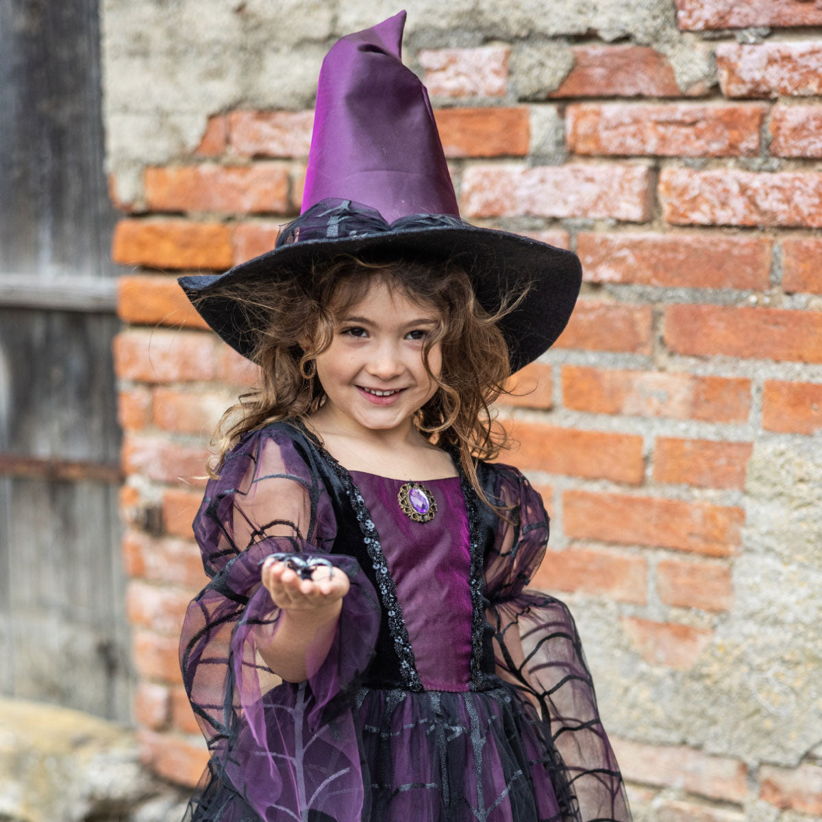 Great Pretenders Amethyst Spider Witch Dress with Hat