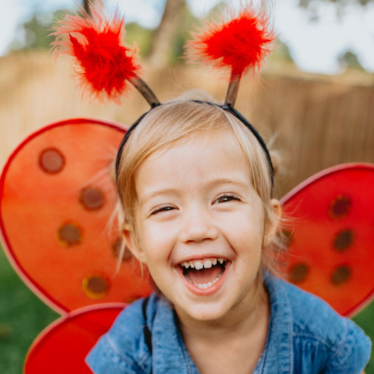 Great Pretenders Ladybug Wings and Headband Set