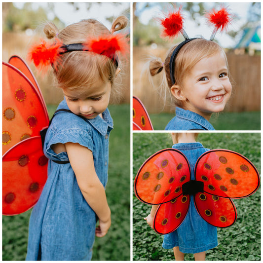 Great Pretenders Ladybug Wings and Headband Set