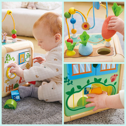 Hape Green Thumbs Activity Cube