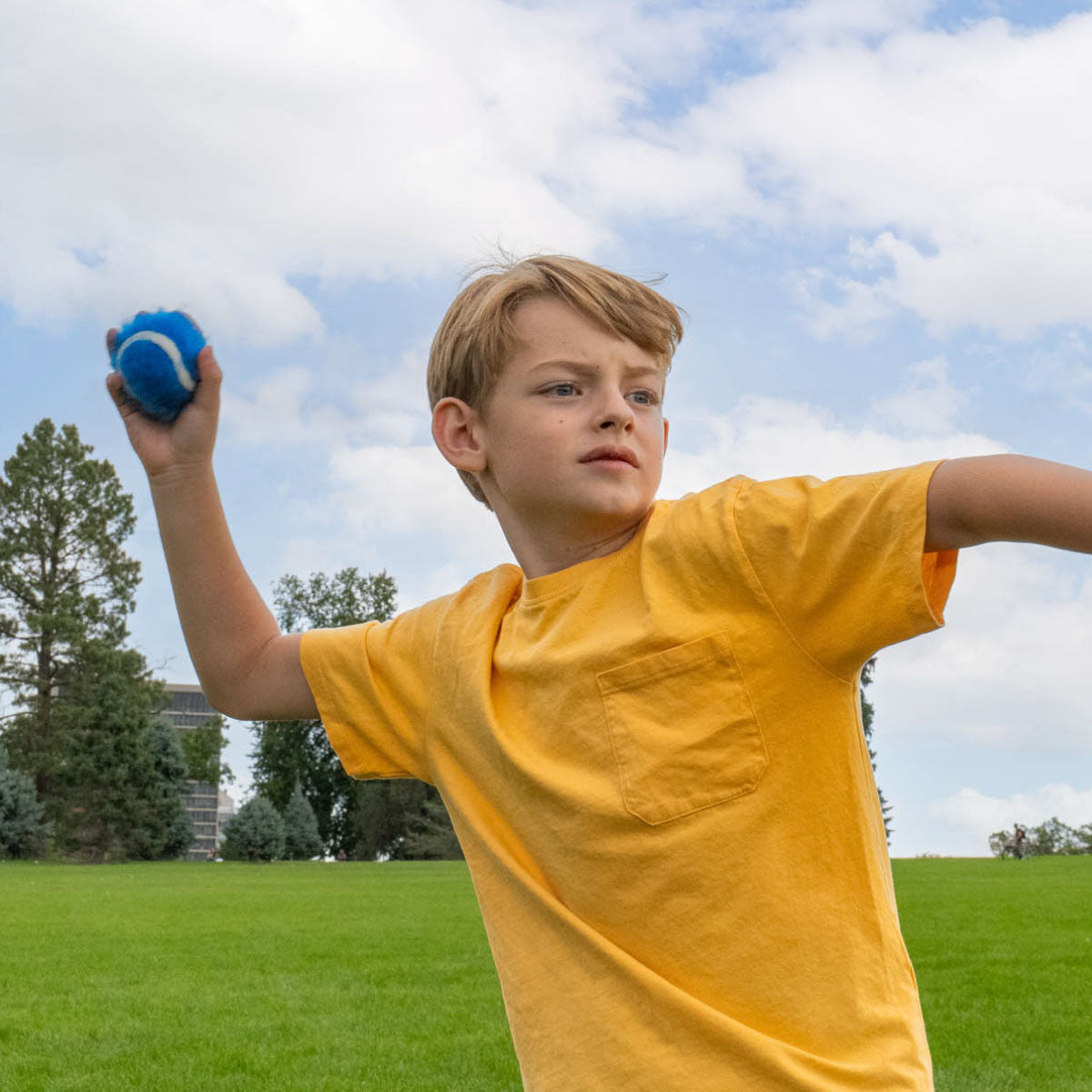 Hape P1 Toss & Catch Ball Game