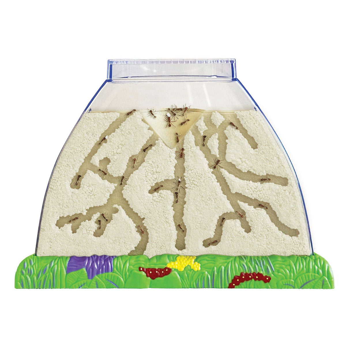 Insect Lore Ant Hill Habitat