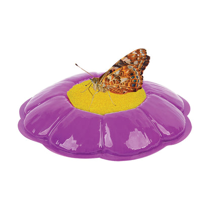 Insect Lore Butterfly Garden with butterfly Feeder 