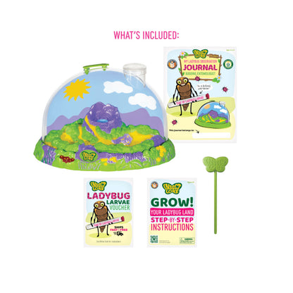 Insect Lore Ladybug Land with Voucher
