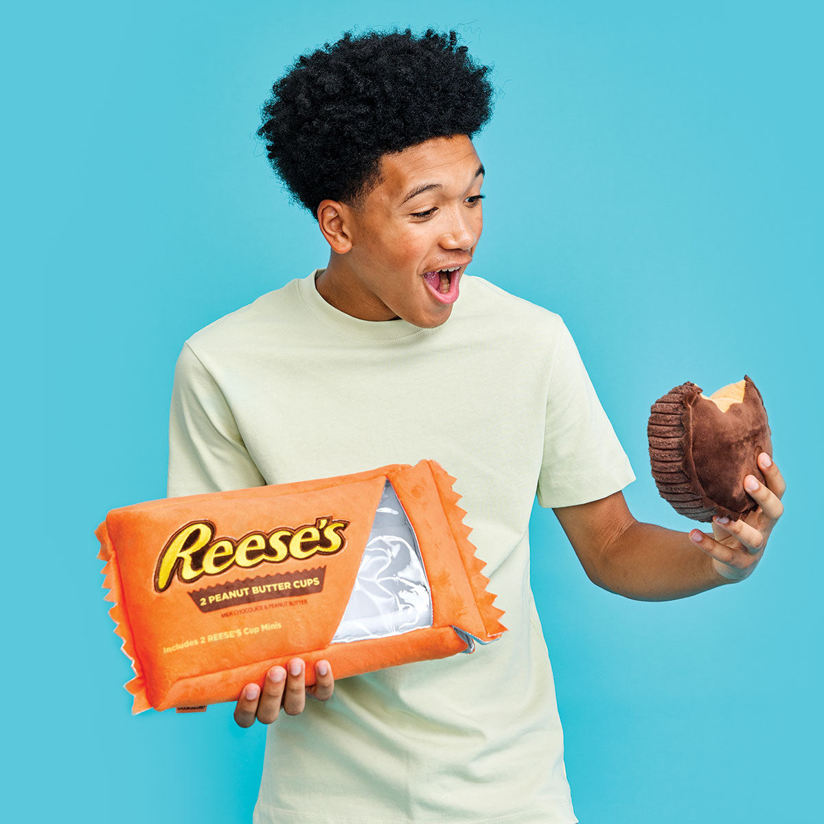 Reese's iScream Peanut Butter Cups Packaging Plush