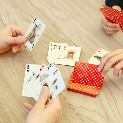 Kikkerland 3D Lenticular Cat Playing Cards