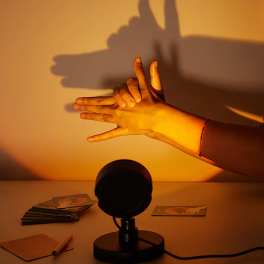 Kikkerland Shadow Game