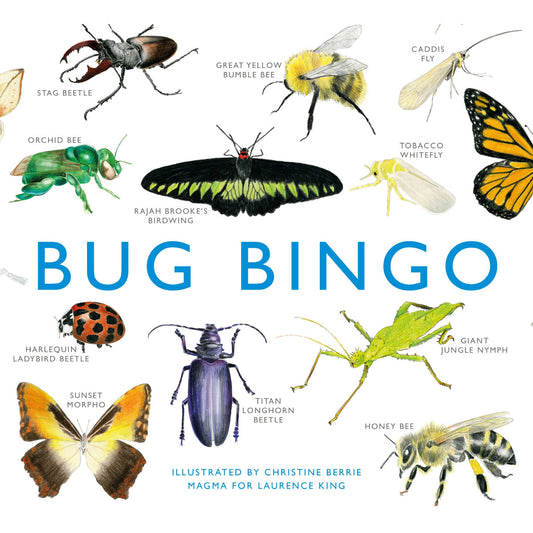 Laurence King Bug Bingo Game