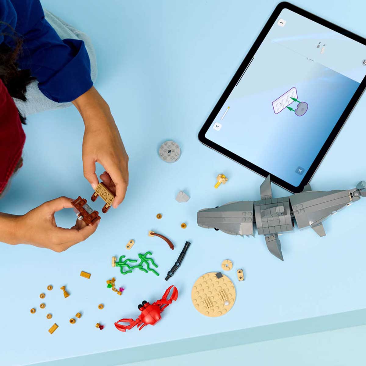 LEGO - CREATOR 3 in 1 Fierce Shark with a Treasure Chest