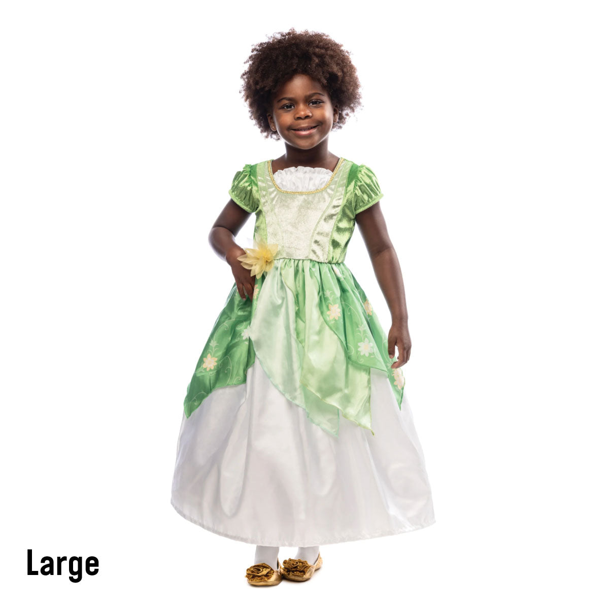 Little Adventures Lily Pad Princess Dress Size Large