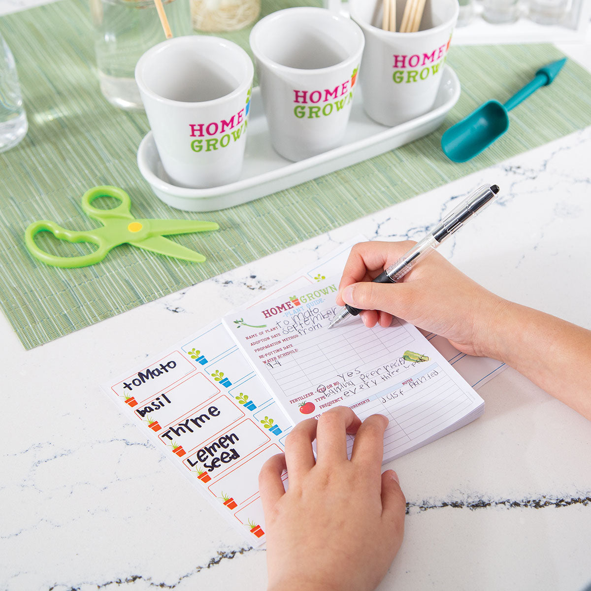 Mindware Home Grown Growing Kit